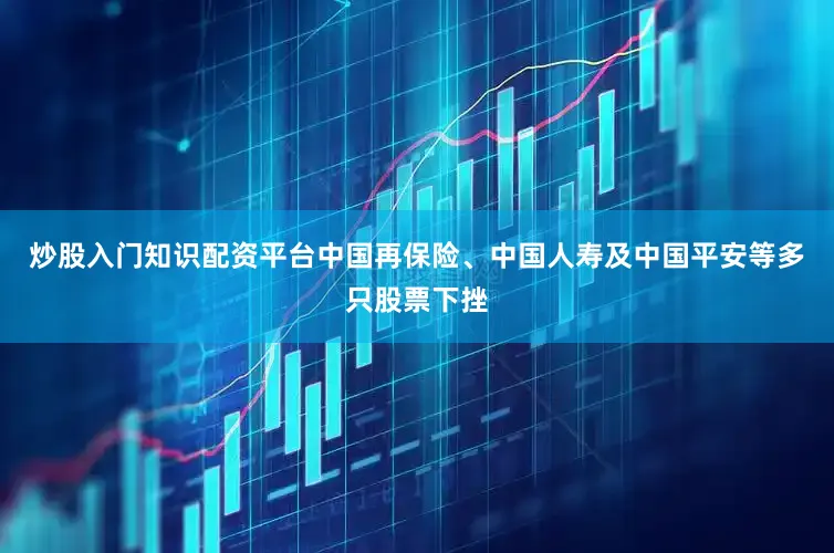 炒股入门知识配资平台中国再保险、中国人寿及中国平安等多只股票下挫