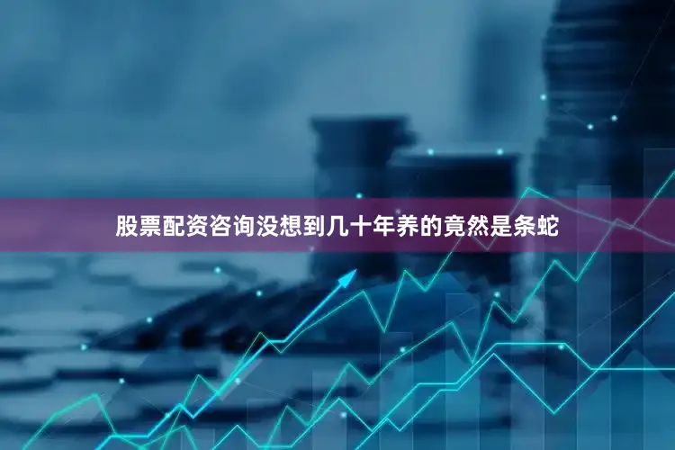 股票配资咨询没想到几十年养的竟然是条蛇
