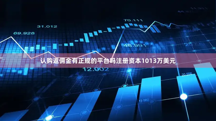 认购返佣金有正规的平台吗注册资本1013万美元